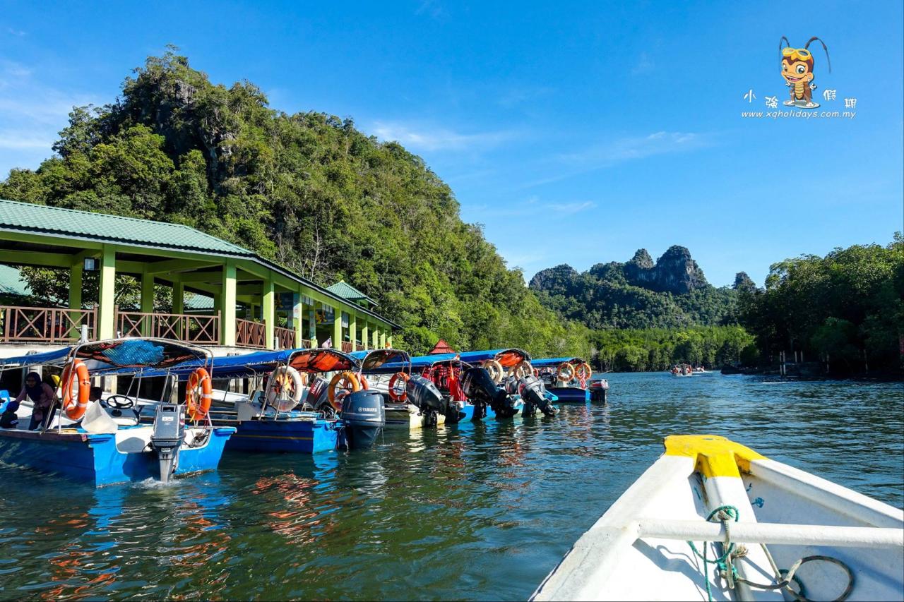 Jelajahi Mangrove Langkawi: Tur Ekosistem yang Menakjubkan