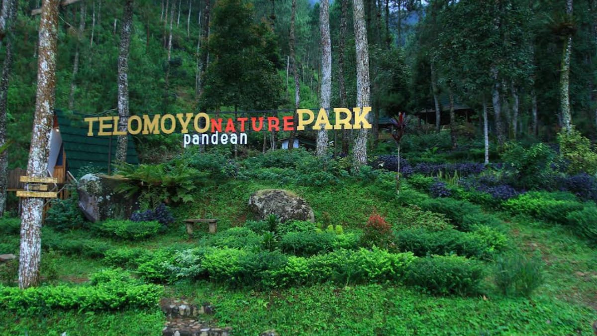 Telomoyo Nature Park: Petualangan Menakjubkan di Lereng Gunung Merapi